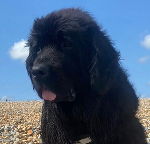 Winnie