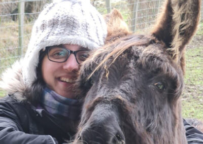 Our Donkeys