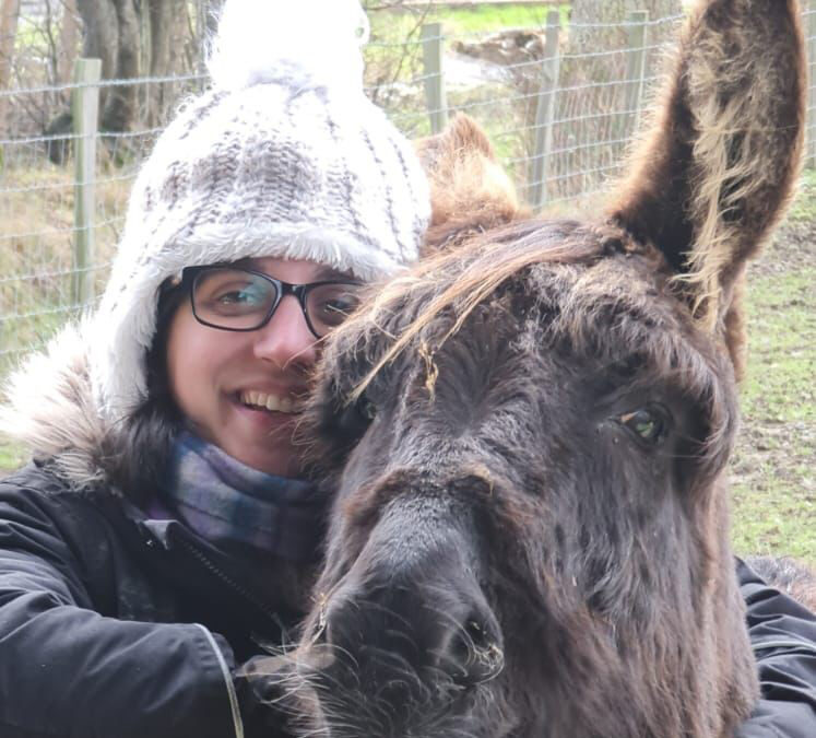 Our Donkeys