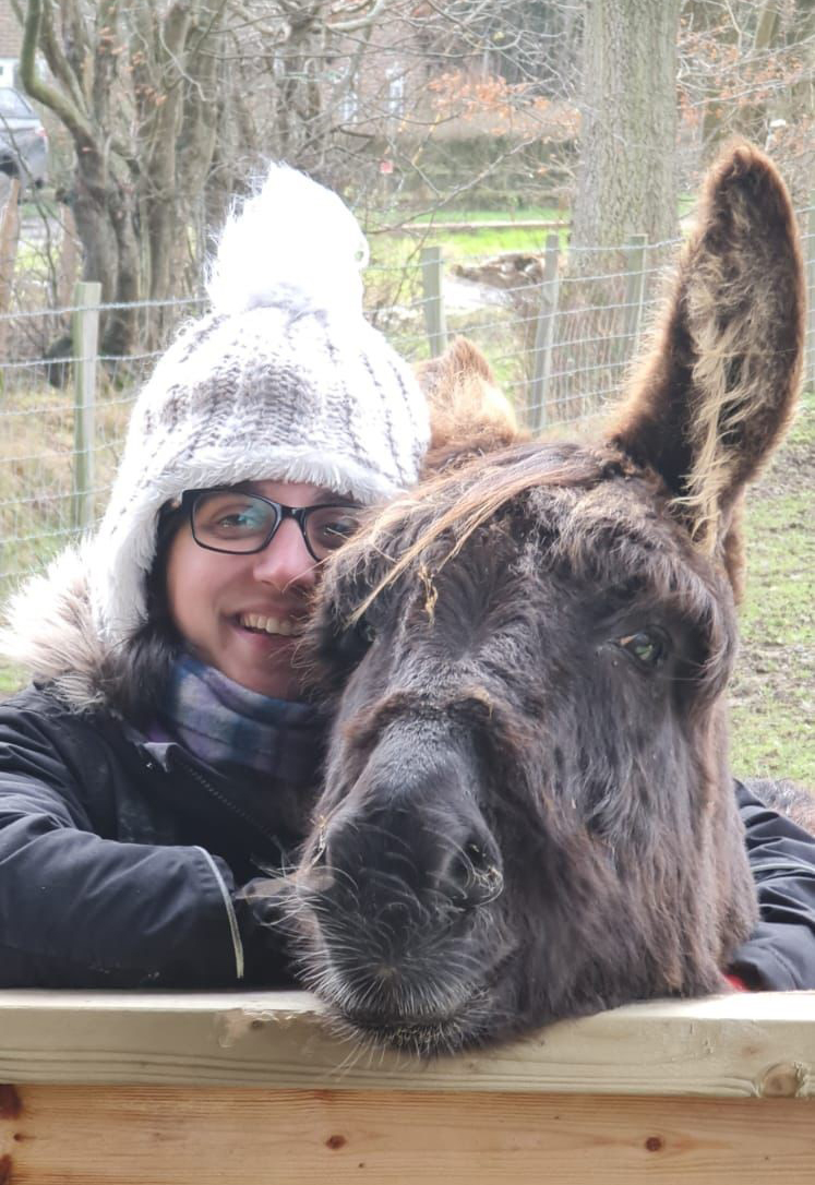 Donkey